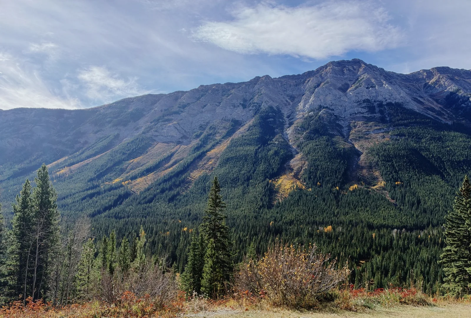 Aspen Ridge, Alberta Rockies