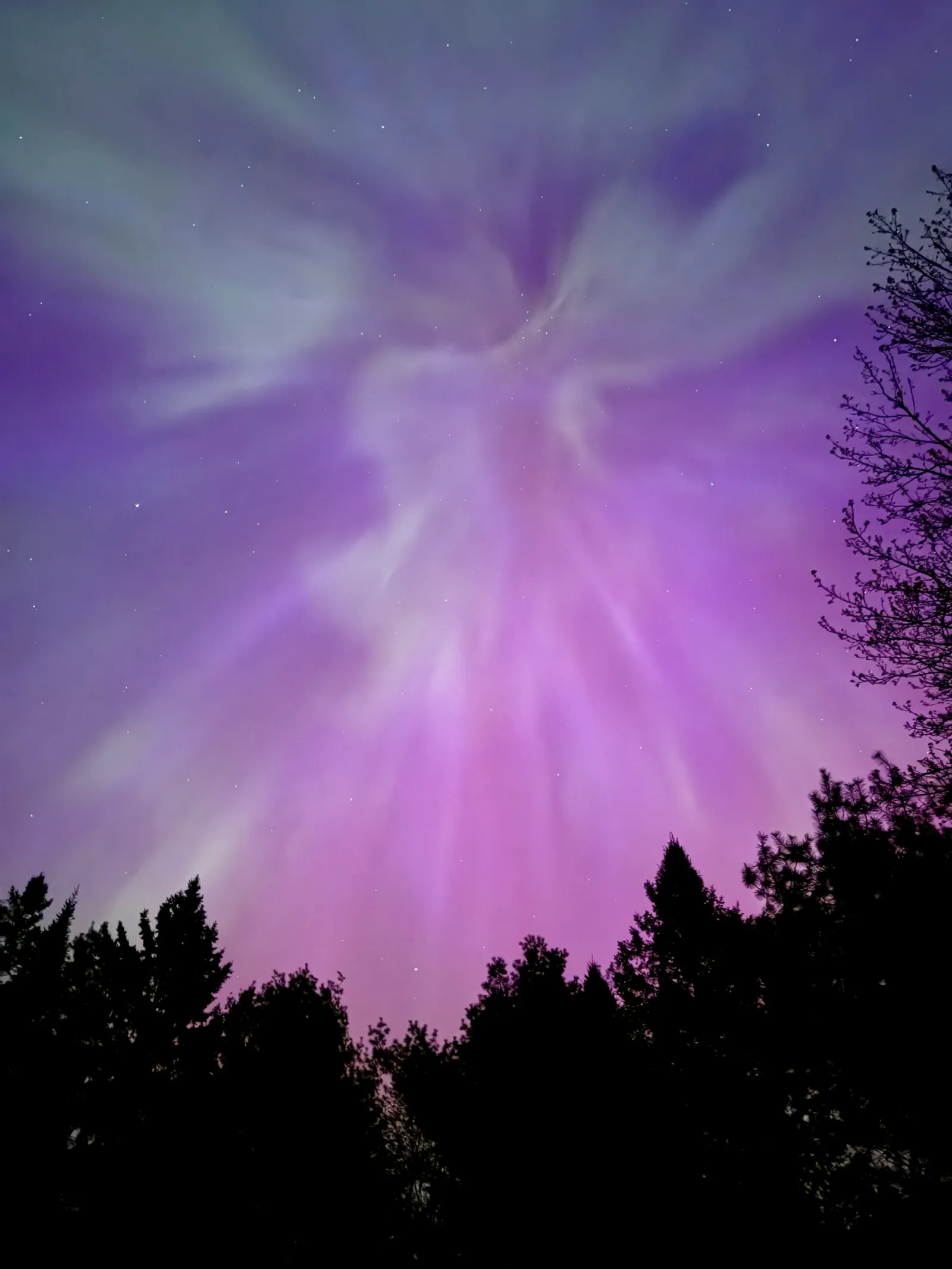 Aurora Corona