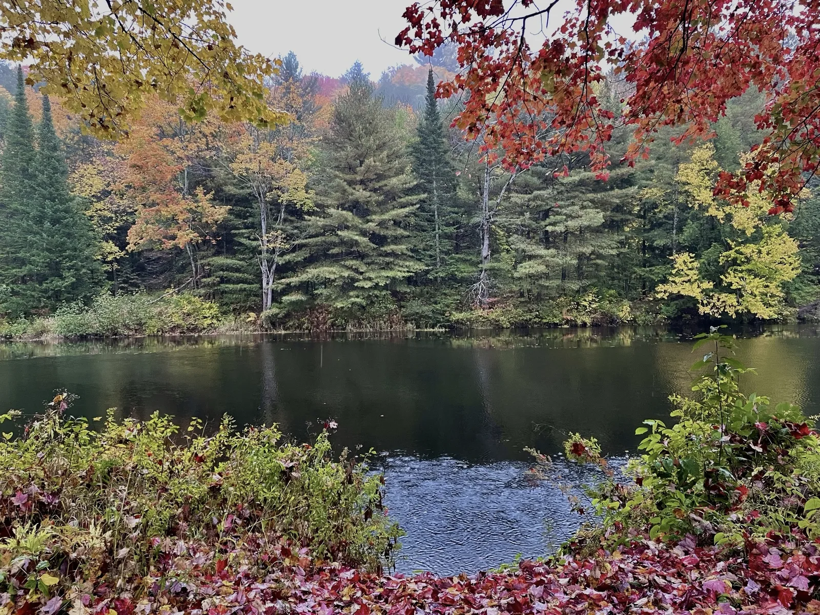 Autumn River