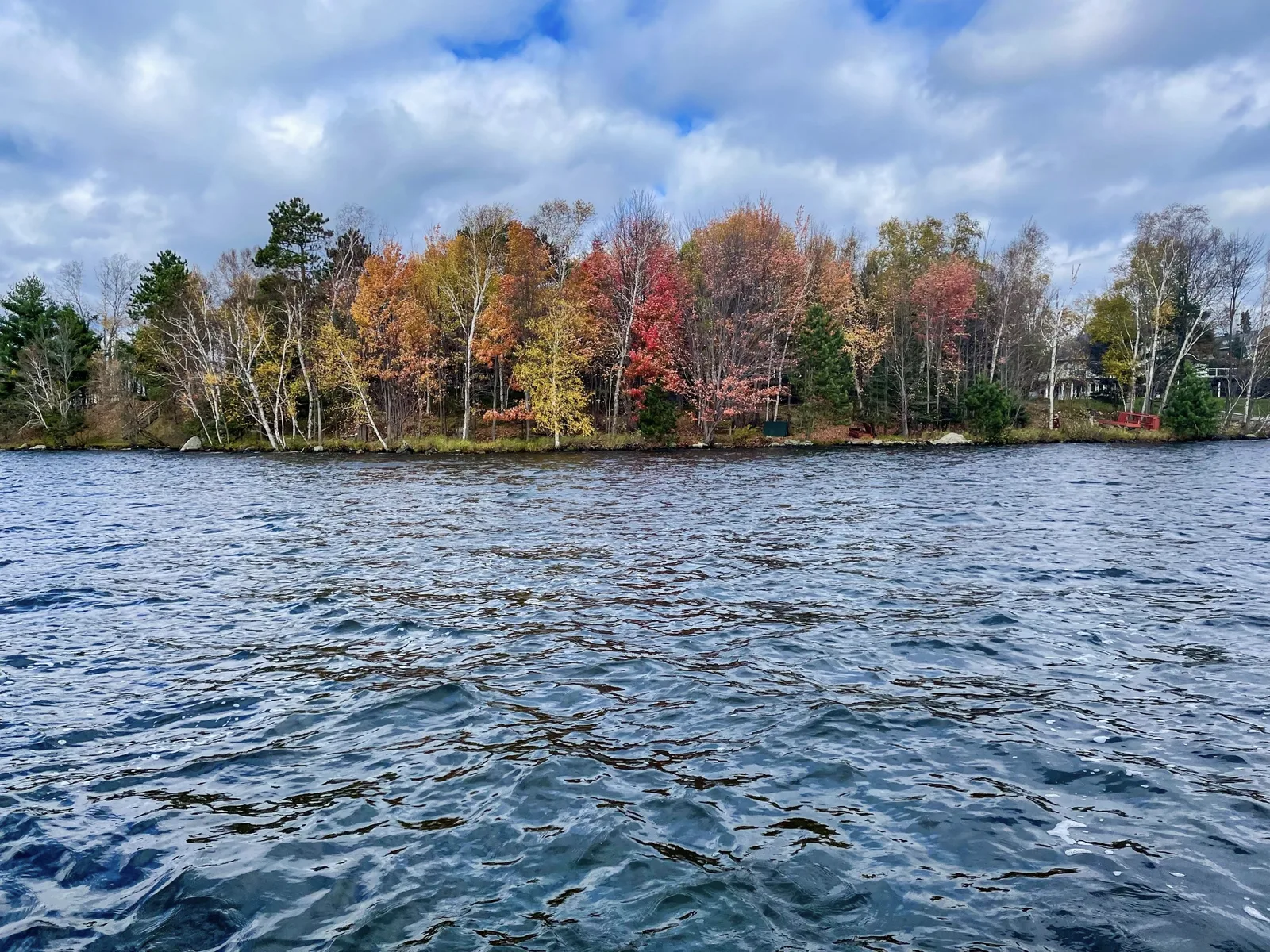 Autumn Shoreline