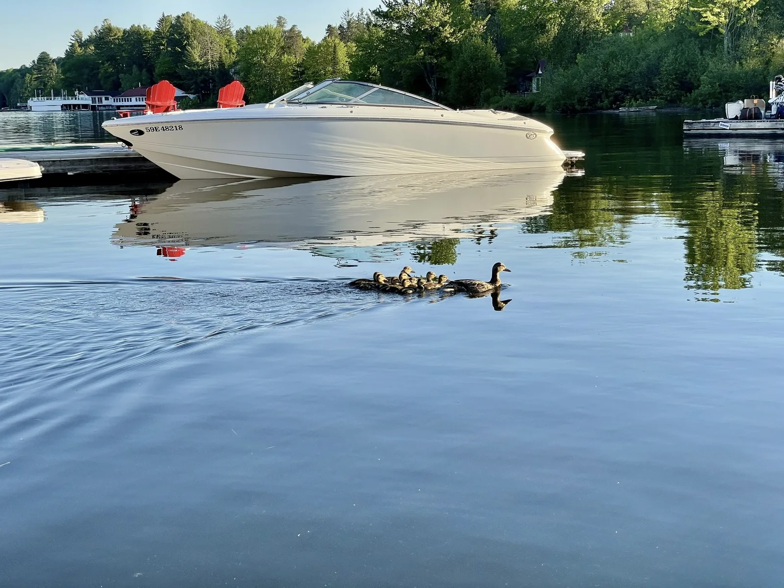 Follow the Leader, Muskoka, Ontario