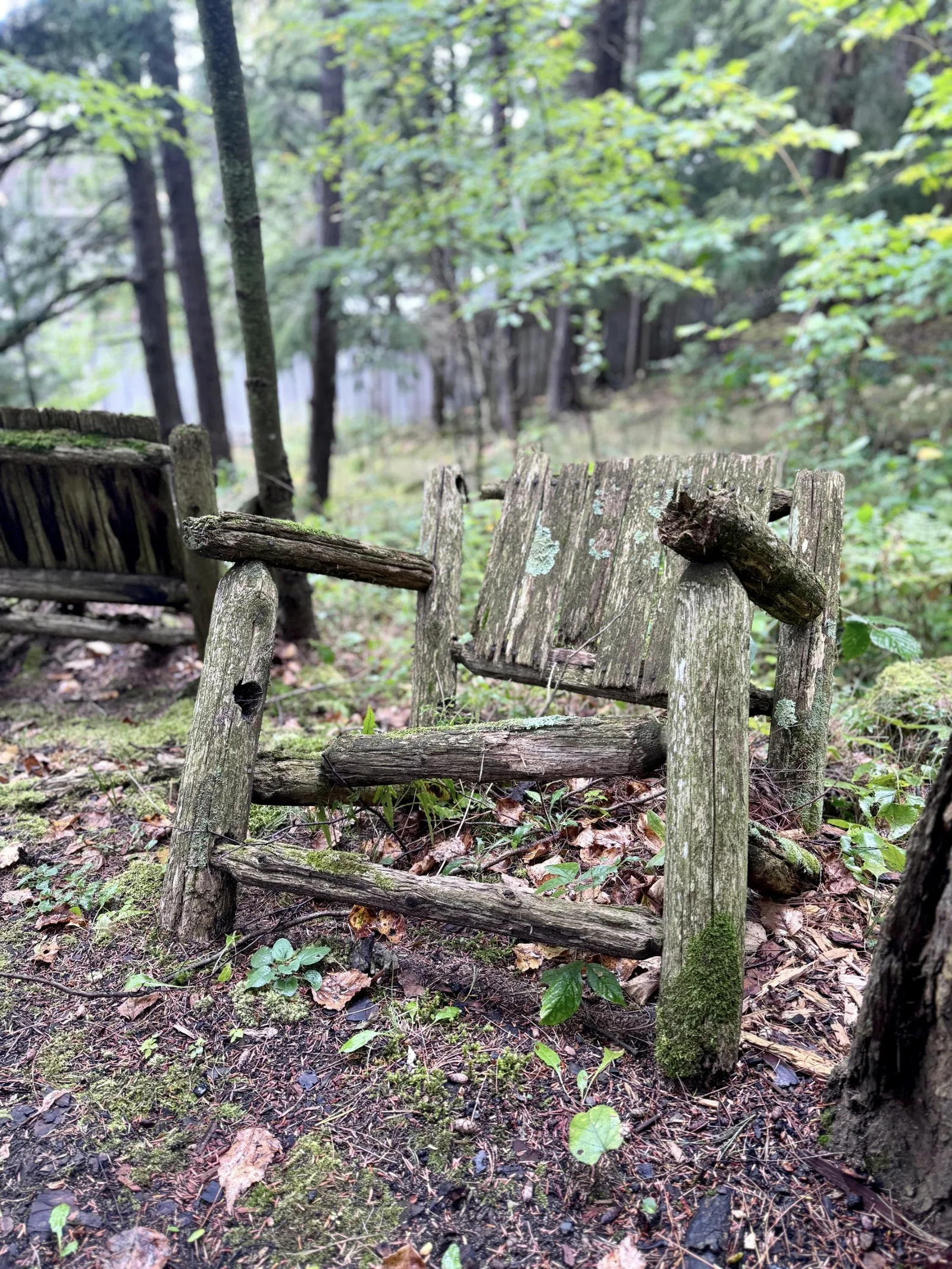 Forgotten Seat