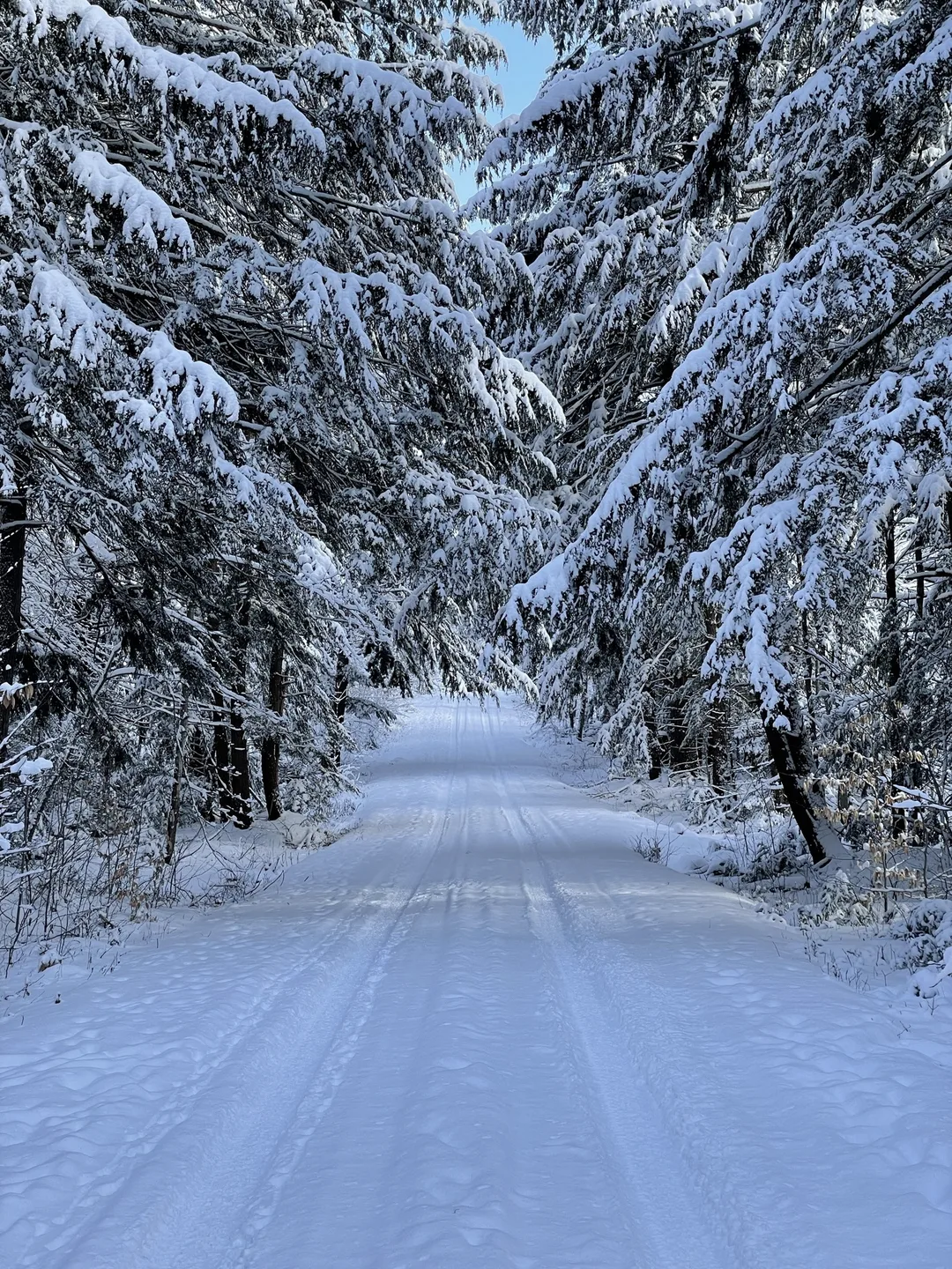 Snowbound